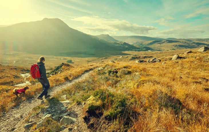 Mountain Walking in Scotland