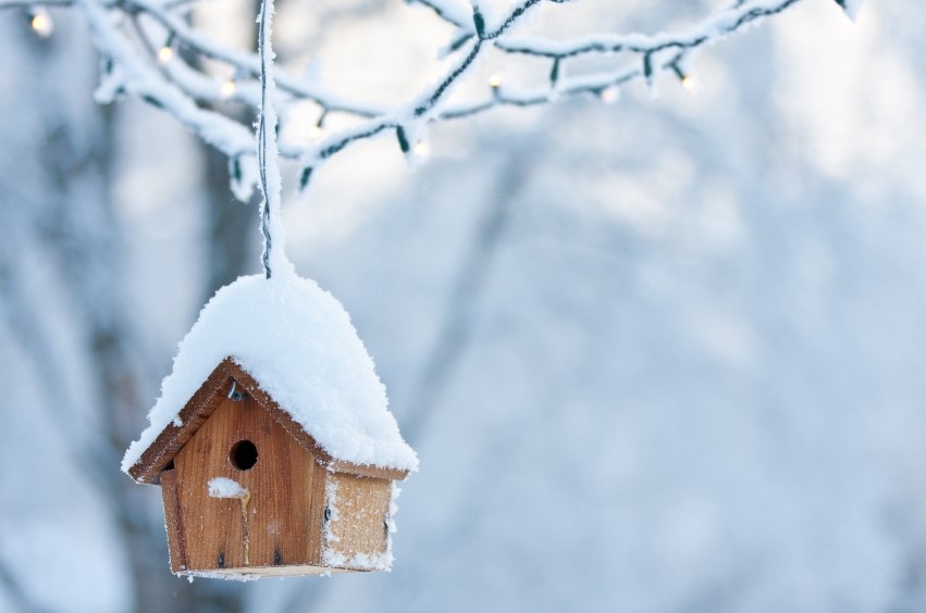 How To Prepare Your House for the Cold Weather | By Kangaroo Storage