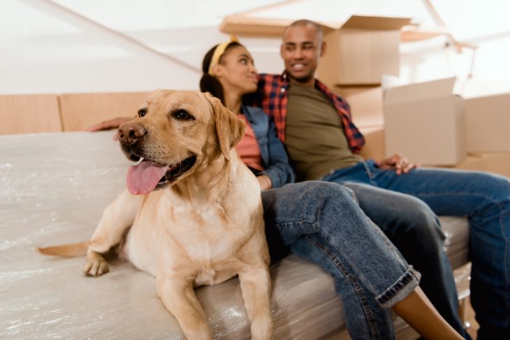 couple moving house with dog