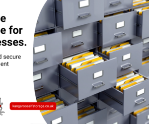 The Benefits of Archive Storage for Businesses